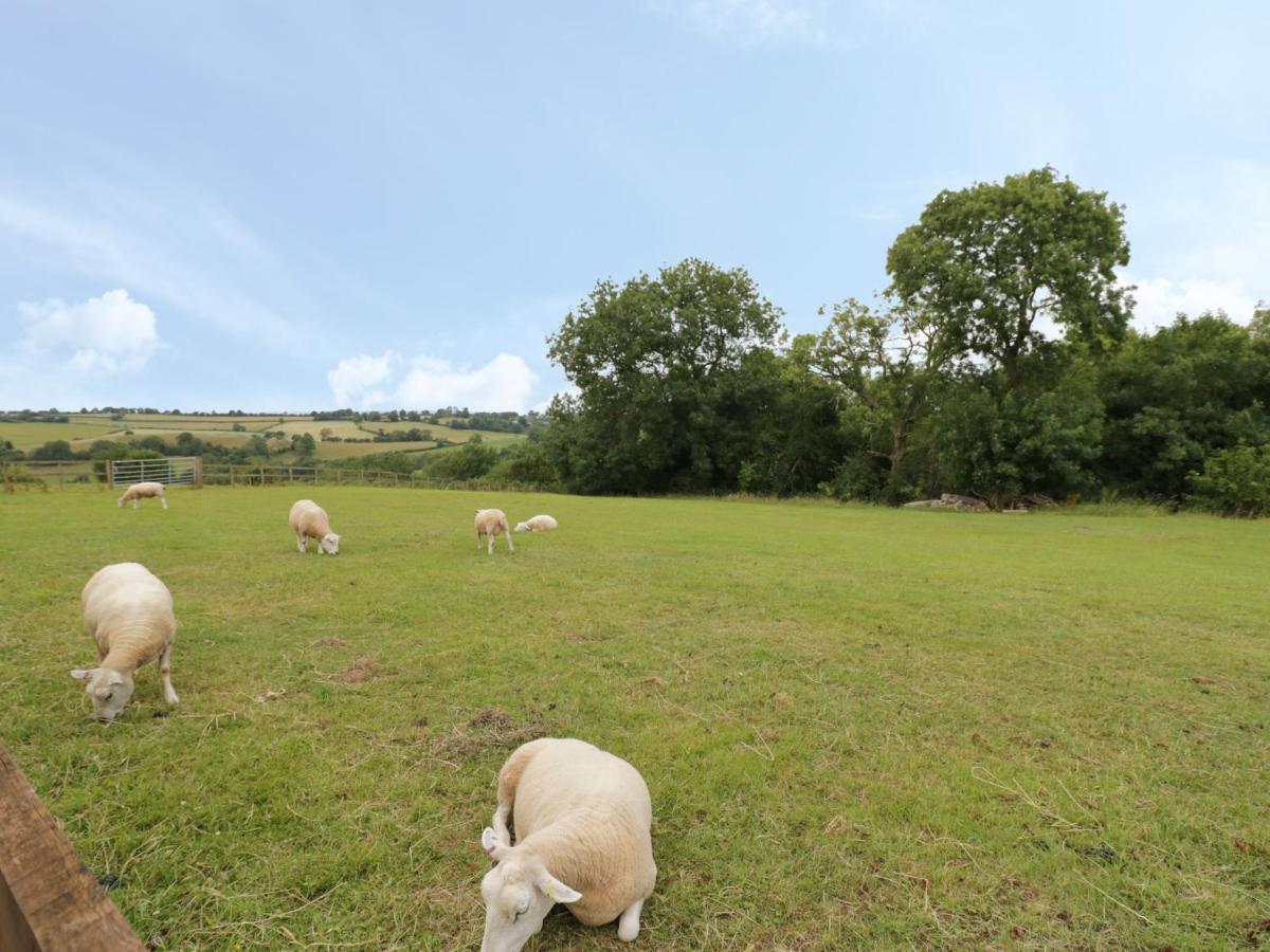 Holmer Farm Leominster Buitenkant foto